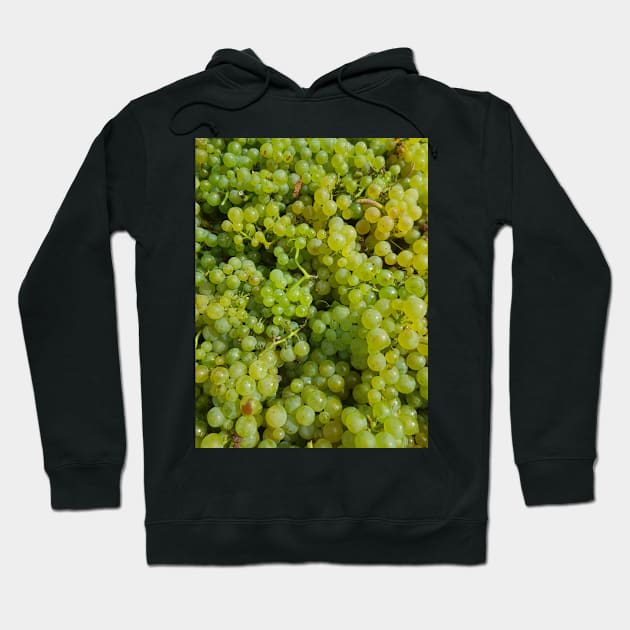 Chardonnay by Avril Thomas Hoodie by MagpieSprings